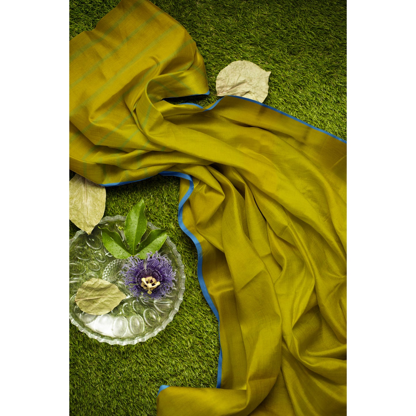 Maya - Green by Yellow body with Blue thin border and Pallu Pure Cotton Handloom saree